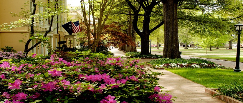 Image of the UofSC Horseshoe 
