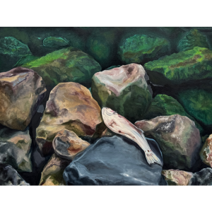 Painting of a fish washed up on stones beside a lake.