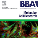 BBA cover