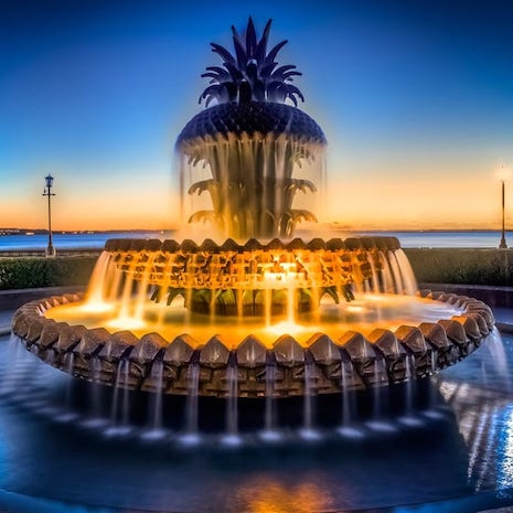 pineapple picture
