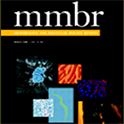 mmbr
