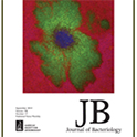 jbact