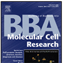 bba
