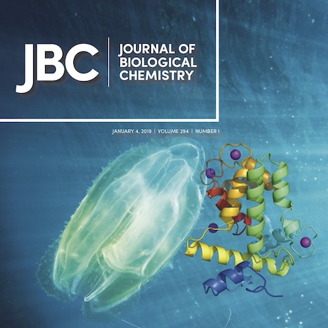 jbc cover