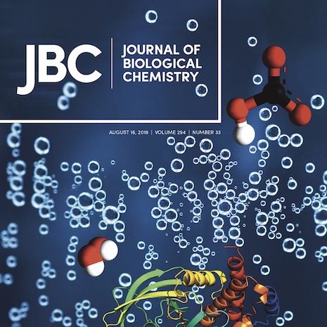 jbc cover
