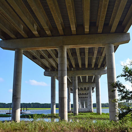 Underneath a bridge over a swamp in South Carolina. 