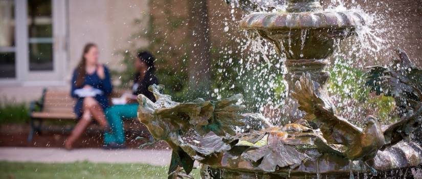 students socializing on campus