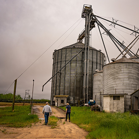 Sharp and Sharp farm
