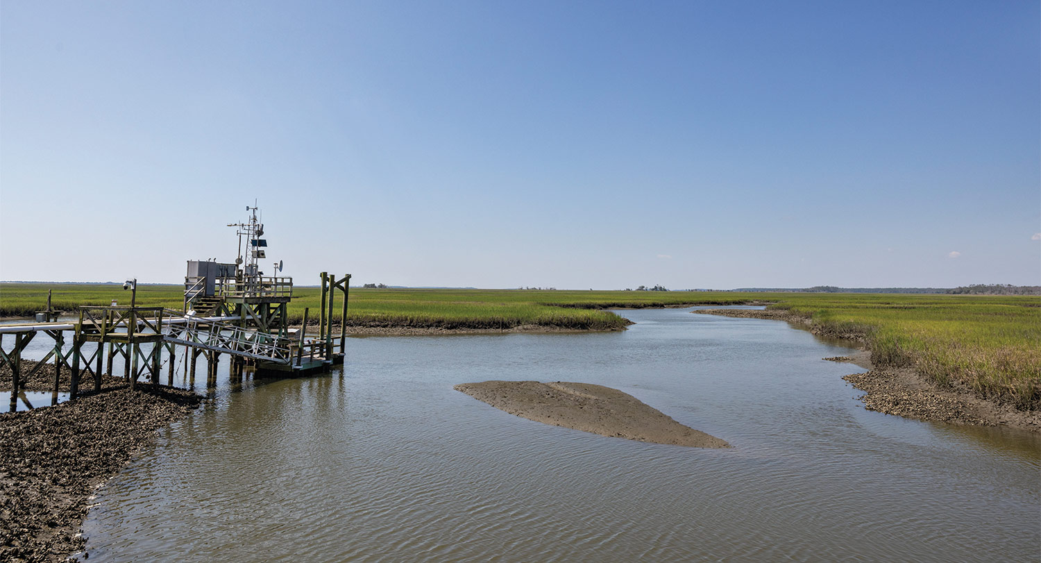 The Baruch Institute sits in the marshlands near Charleston, SC