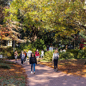 Students walk along brick pathway on campus during fall